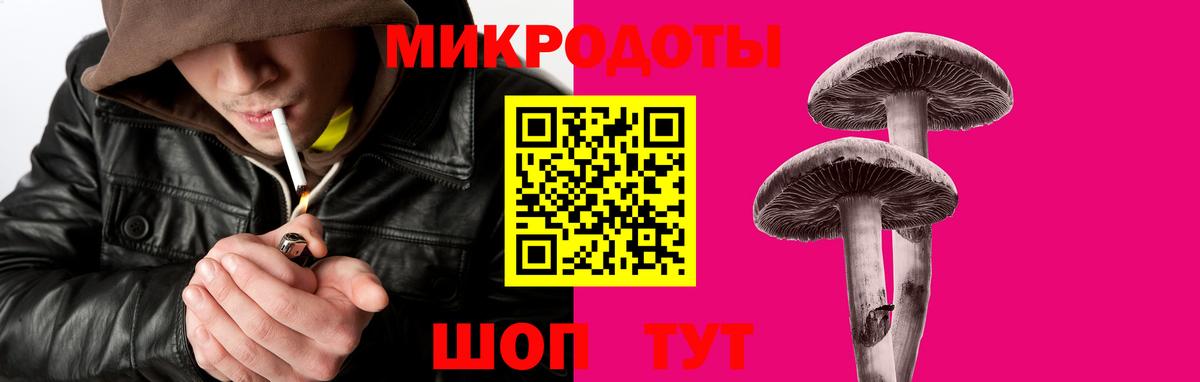 Галлюциногенные грибы Psilocybine cubensis  Вход с VPN  Псилоцибиновые грибы Psilocybe  Новосибирск 