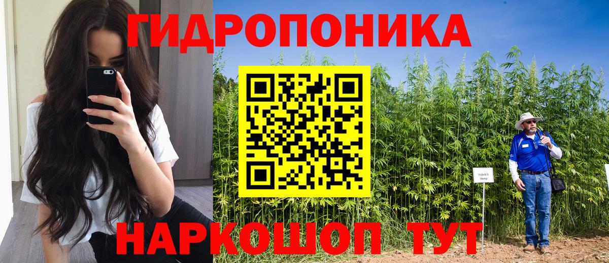 Бошки Шишки AK-47  Бошки Шишки план  Новосибирск  Вход с VPN  Шишки марихуана MAZAR 